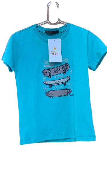 camisetasT2T4